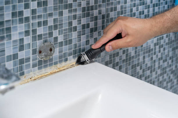 Best Black Mold Remediation in Azle, TX
