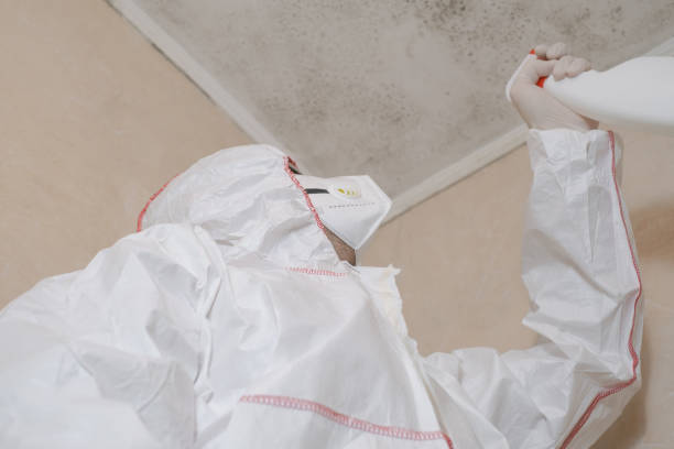 Best Commercial Mold Remediation in Azle, TX