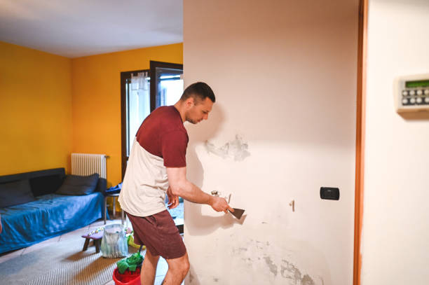 Trusted Azle, TX Mold Remediation Experts