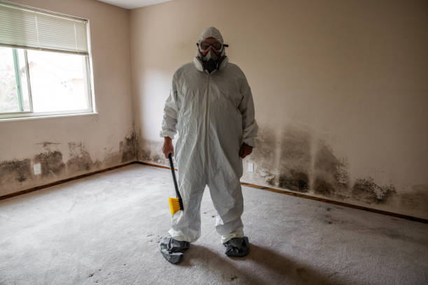 Best Crawl Space Mold Remediation in Azle, TX